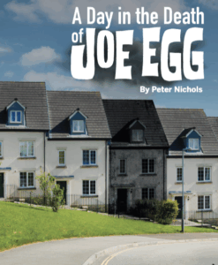 this is a picture of a book cover of a day in the death of joe egg