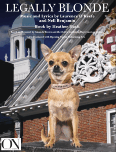 there is a dog that is sitting on top of a building